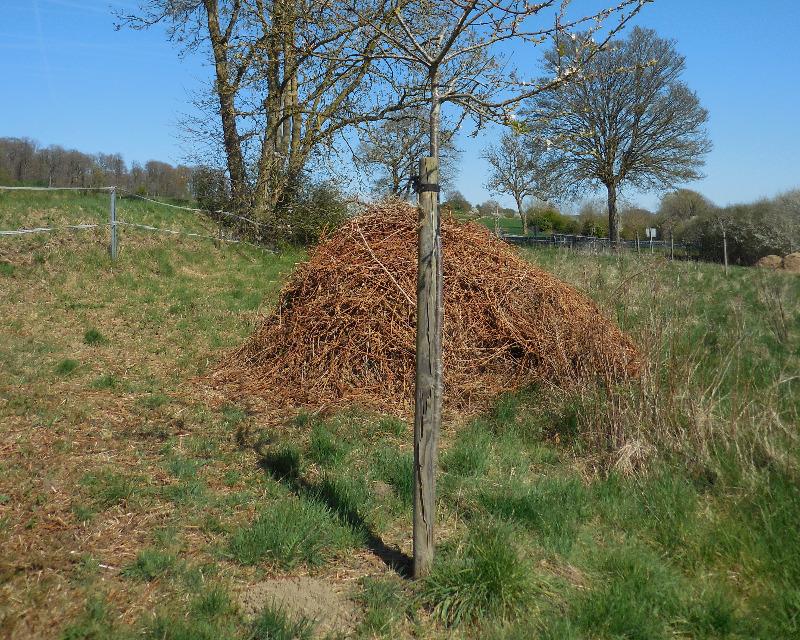Accueil de la faune